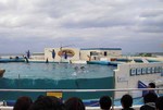 沖縄 美ら海水族館 イルカショー